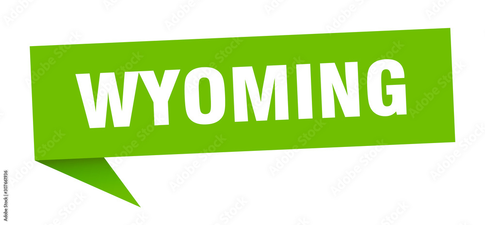 Wyoming sticker. Green Wyoming signpost pointer sign Wyoming sticker. Green Wyoming signpost pointer sign