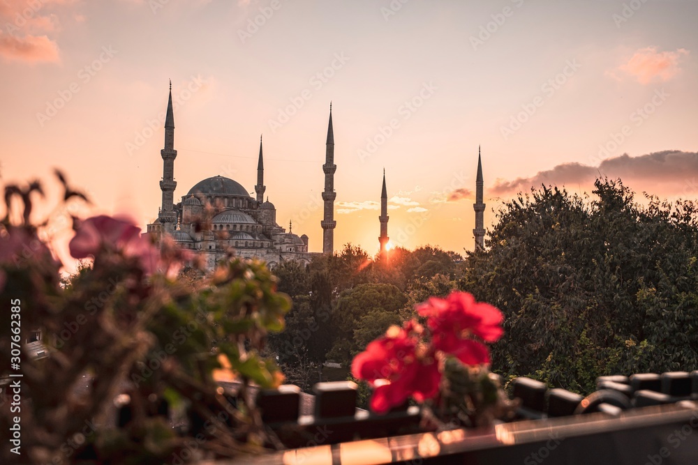 Fototapeta premium Błękitny Meczet w Stambule