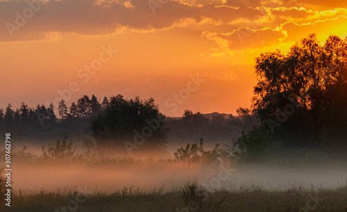Sunrise through the clouds. Fog creeps across the meadow.