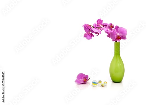 Beautiful orchid isolated on a white background