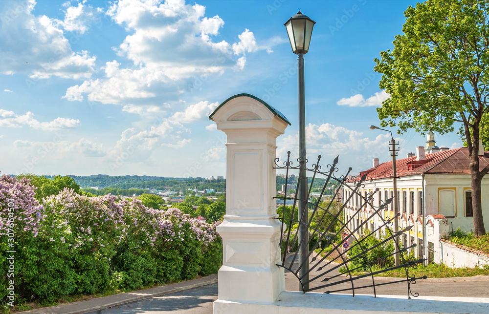 Blooming lilac in city of Smolensk in spring Blooming lilac in city of Smolensk in spring