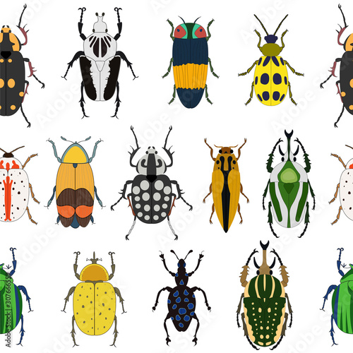 Seamless vector pattern with insects. Collection of bugs isolated on white background. Flat hand drawn beetles illustration. 