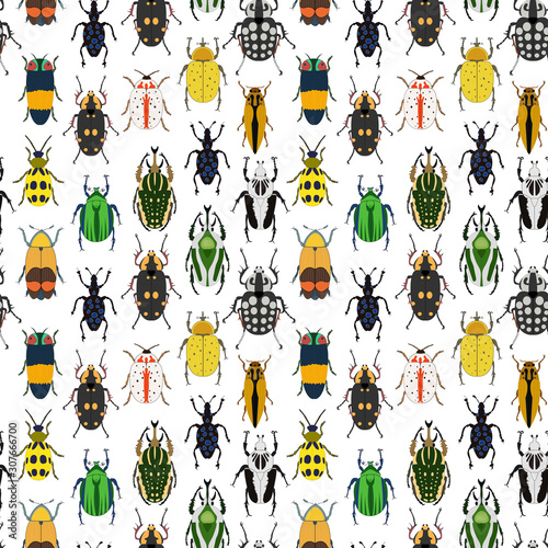 Seamless vector pattern with insects. Collection of bugs isolated on white background. Flat hand drawn beetles illustration.  photo