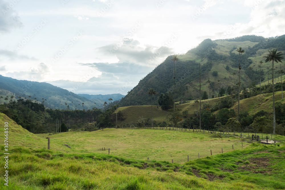 Panoramic Views of The Cocora Valley in Salento, Quindío, Colombia.