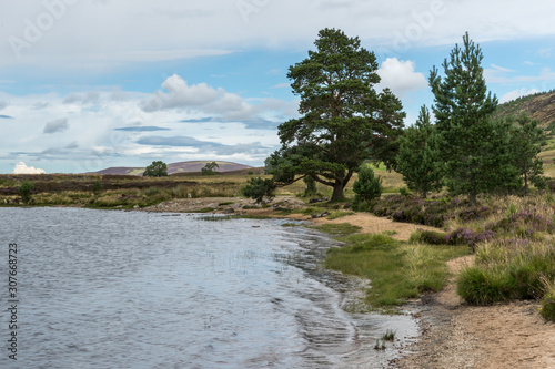 Countryside at Lochindorb photo