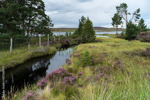 Countryside at Lochindorb photo