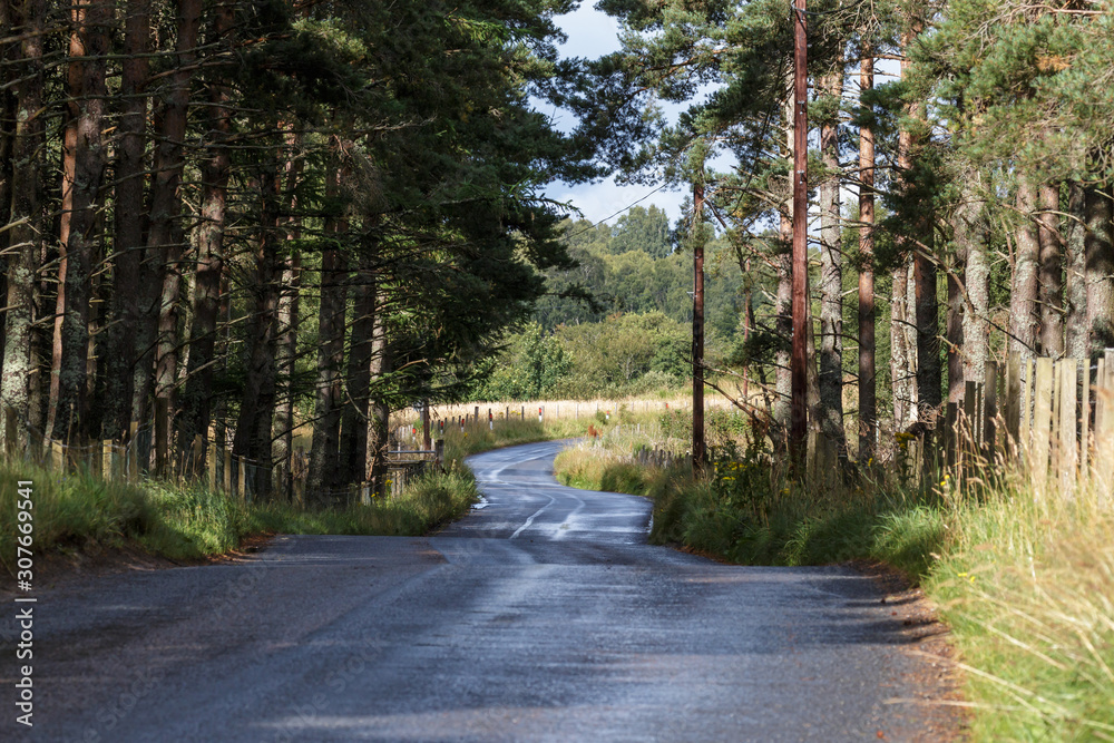 Obraz premium Scottish road near Boat of Garten