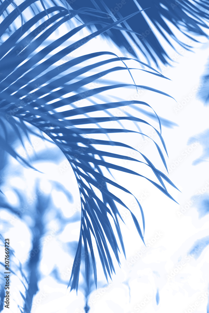 Palms with colorful pop art effect. Vintage stylized photo with light leaks. Summer palm trees over monochrome color sky. Copy space. Trendy classic blue background.