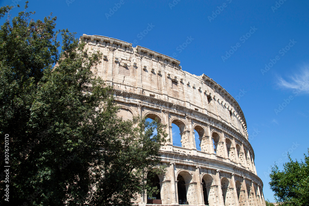 the colosseum in Rome against a blue sky with a tree in the foreground