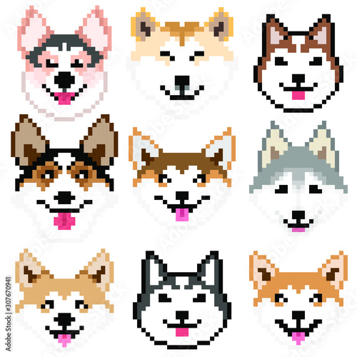 Set vector pixel art dogs isolated on white background.