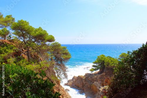 Steep cliffs with pine trees growing on them, white sea foam, green trees against the blue sea. Mediterranean Sea. Spain.3