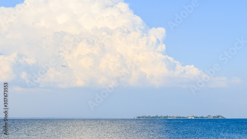 A large white cloud over the sea, a seagull in the sky and an island.