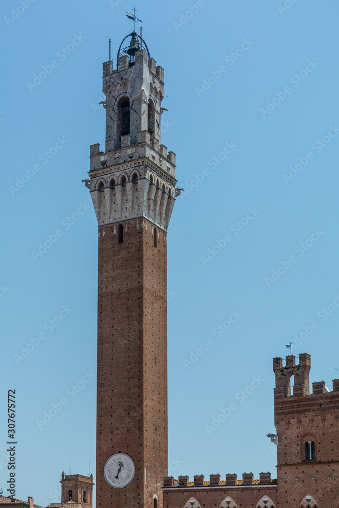 Campo square and the Campanile, Torre del Mangia in Siena