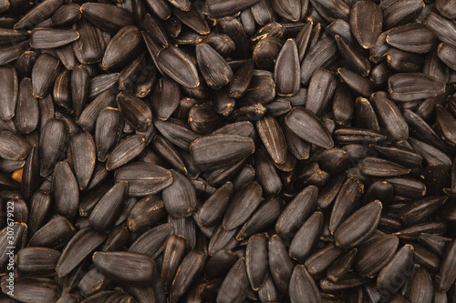 black sunflower seeds closeup, texture, background