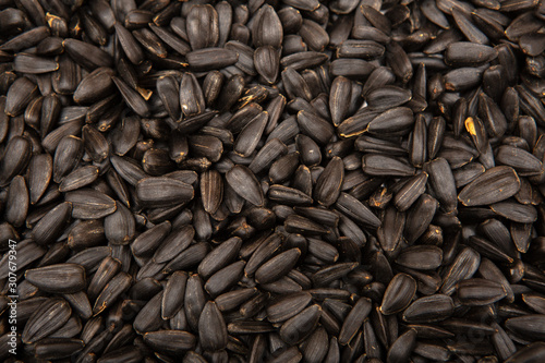 black sunflower seeds, texture, background