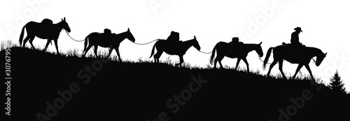 Vector silouettes of a cowboy riding a horse and leading pack mules.  photo
