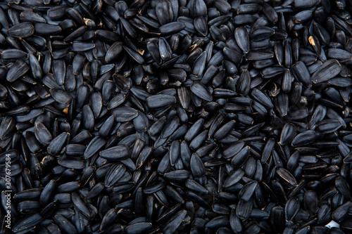 black sunflower seeds  texture  background