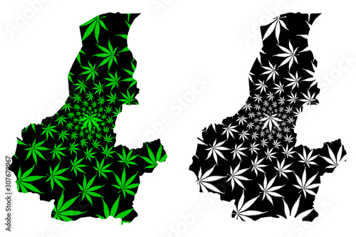 Faryab Province (Islamic Republic of Afghanistan, Provinces of Afghanistan) map is designed cannabis leaf green and black, Faryab map made of marijuana (marihuana,THC) foliage.... photo