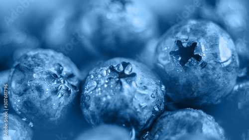 Wet fresh Blueberry background. Studio macro shot