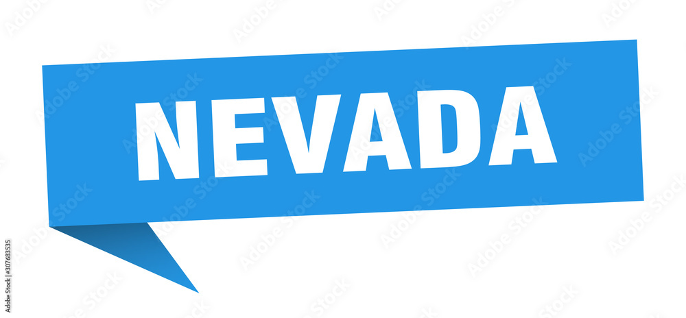 Nevada sticker. Blue Nevada signpost pointer sign
