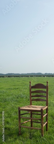 Antique chair in meadow