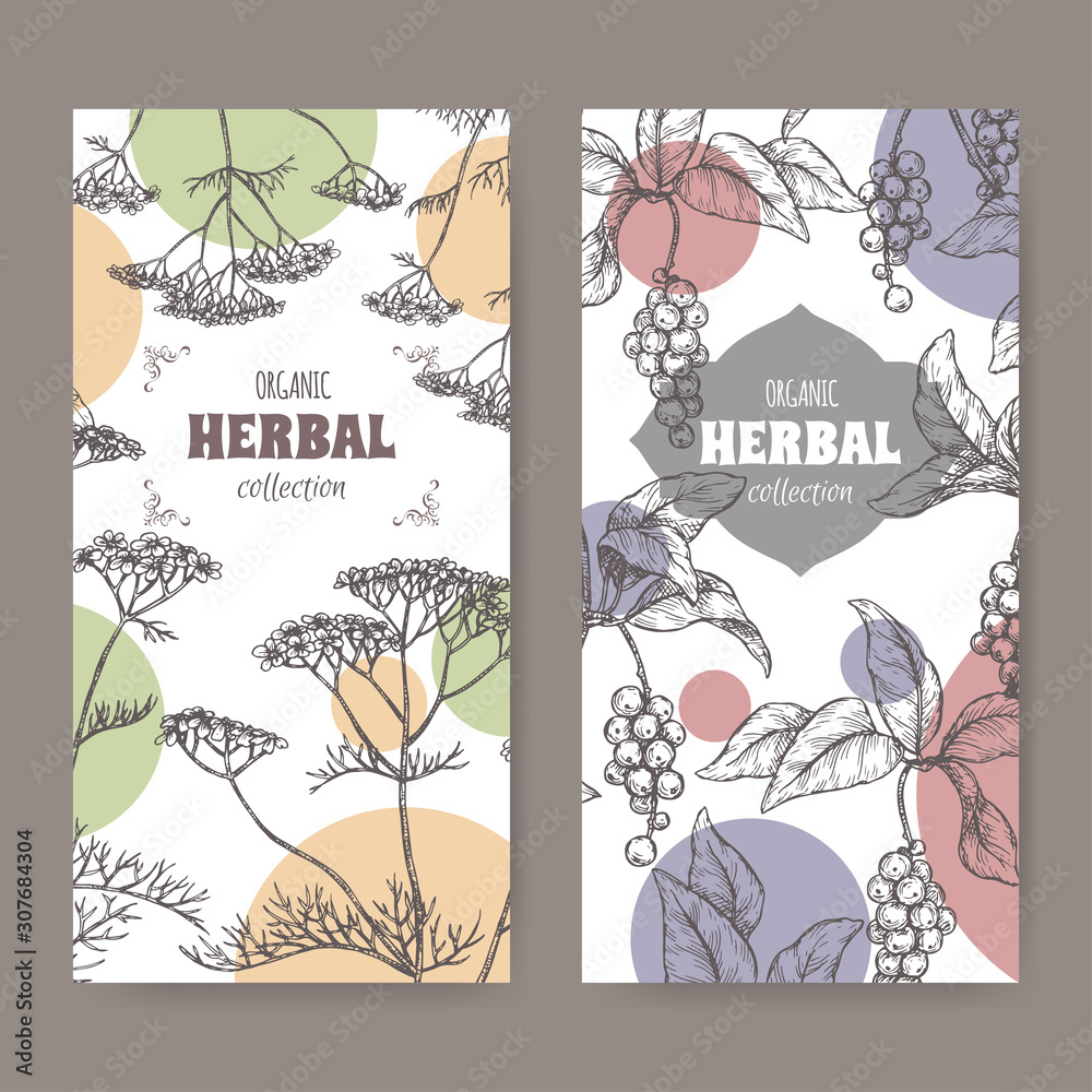 Two labels with Yarrow and Schisandra or magnolia vine sketch. Herbal collection series.