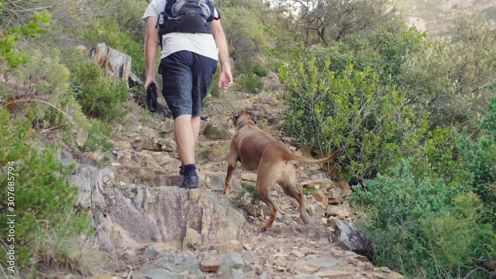 Active adventurous man taking his dog on a hike, outdoor natural lifestyle Active adventurous man taking his dog on a hike, outdoor natural lifestyle