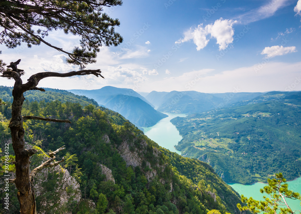 Obraz premium Views of green hills and beautiful lake while trekking in Tara national park in Serbia