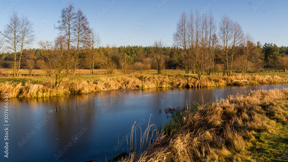 Rzeka Narew w okolicy Suraża, Narwiański Park Narodowy, Dolina Narwi, Suraż, Podlasie, Polska