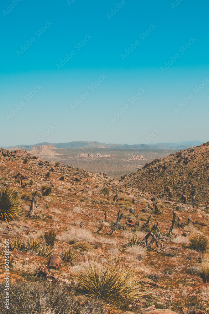 view of the desert