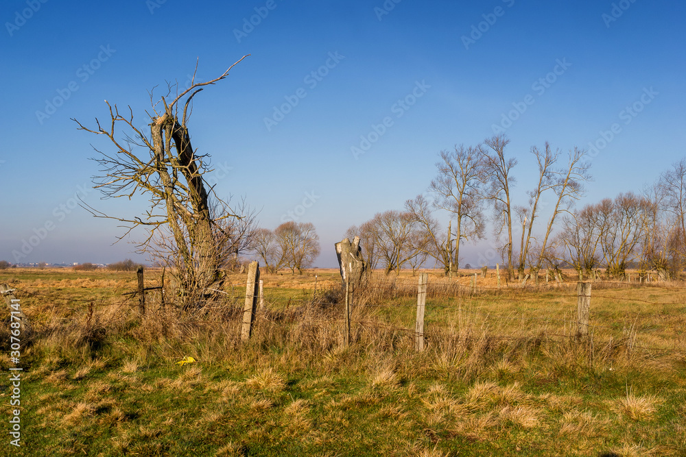 Rzeka Narew w okolicy Suraża, Narwiański Park Narodowy, Dolina Narwi, Suraż, Podlasie, Polska Rzeka Narew w okolicy Suraża, Narwiański Park Narodowy, Dolina Narwi, Suraż, Podlasie, Polska