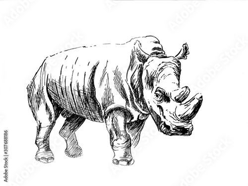 Ink rhinoceros isolated on white background © Anastasiya