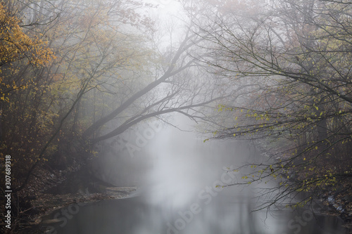 Fluss in den Nebel