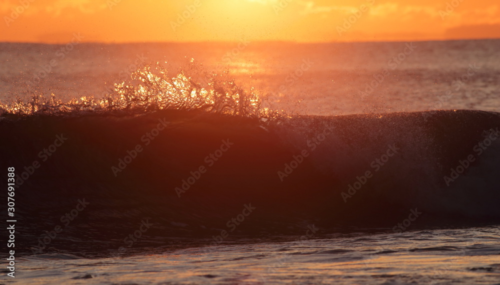 Obraz premium Crest of breaking wave backlit by sunlight at sunset