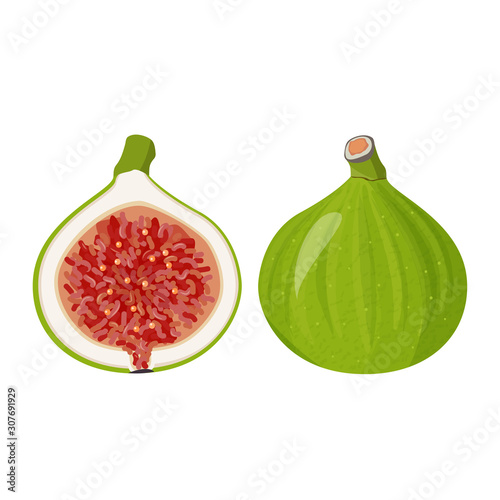 Fresh exotic fruit vector illustration. Figs whole and a half realistic card.