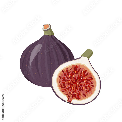 Fresh exotic fruit vector illustration. Figs whole and a half realistic card.