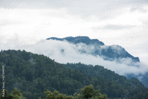 Forested mountain slope in ...