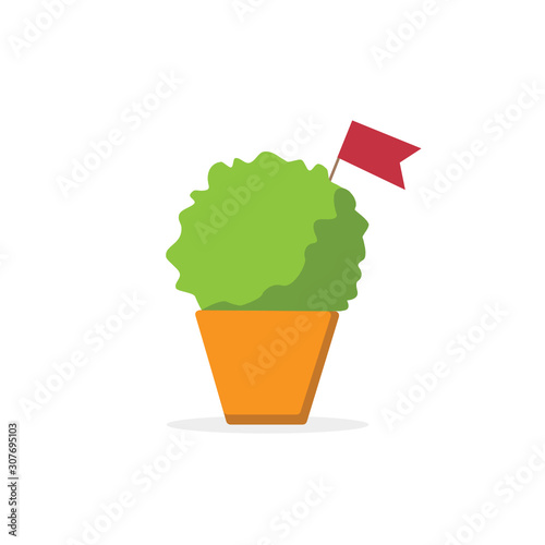 manjerico plant with red flag ,santos populares