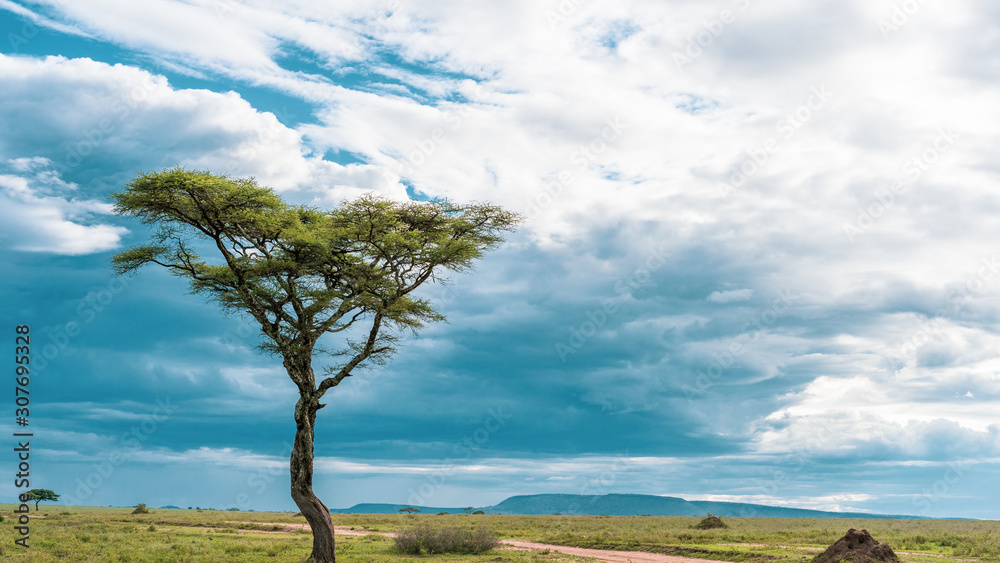 African panorama in Serengeti national park