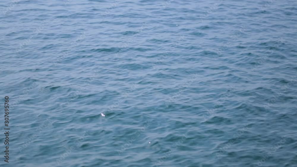 Beautiful blue sea water natural video background. Real time full hd footage. Beautiful blue sea water natural video background. Real time full hd footage.