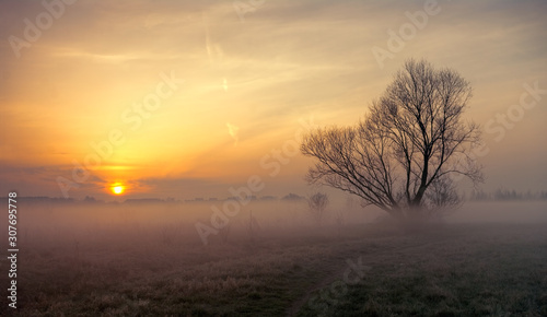 wschód słońca nad zamgloną łąką © bogumilpason