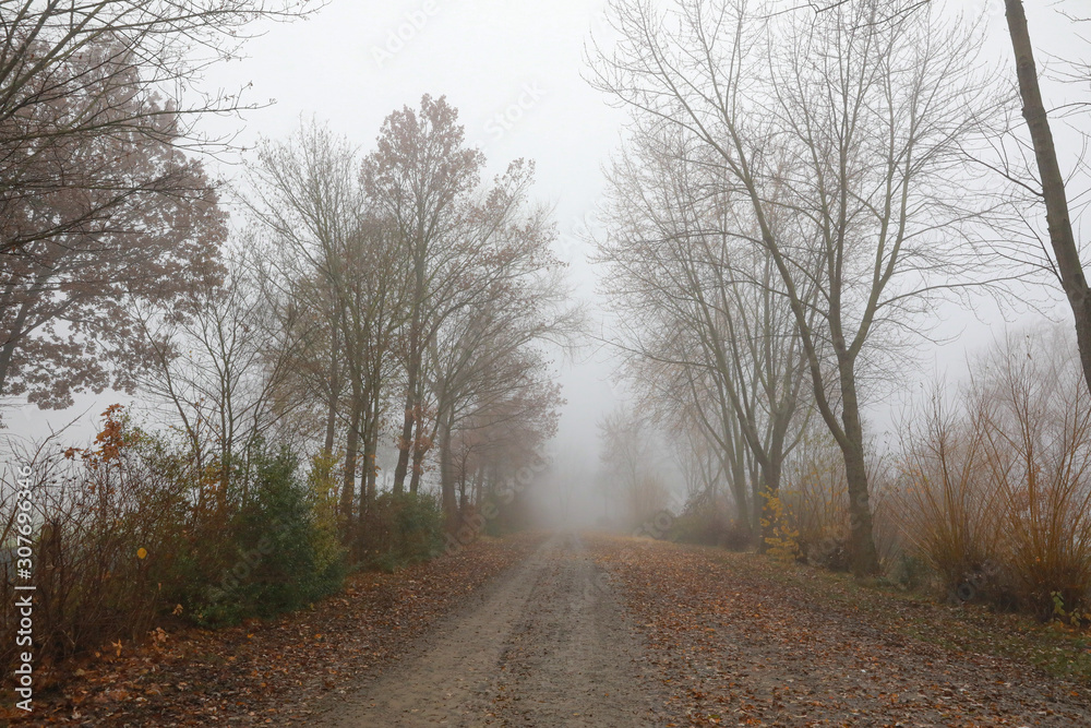 Straße im Nebel