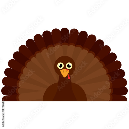 Isolated turkey image