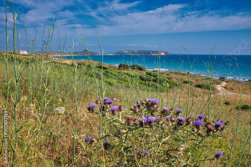 The Sinis is a peninsula of central-western Sardinia Italy that is located between the bay of Is Arenas to the north, and the Gulf of Oristano to the south photo