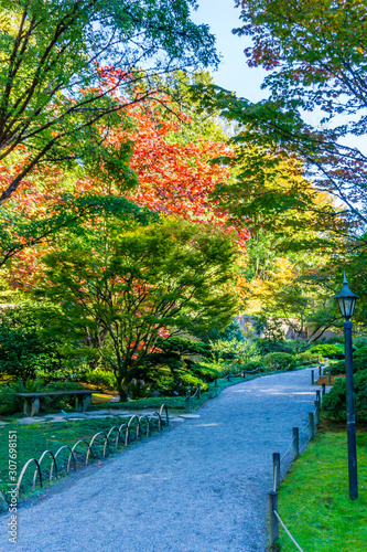 Garden Walkway With Fall Colors 5