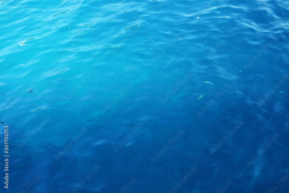 blue sea with small striped fish as a background