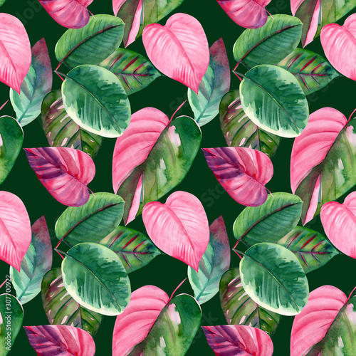 Pink and green tropical leaves  Caladium  ficus  Caladium. Seamless pattern  watercolor illustration