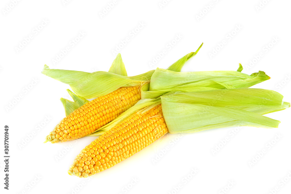 Fresh ears of sweet corn isolated on white background. Fresh ears of sweet corn isolated on white background.