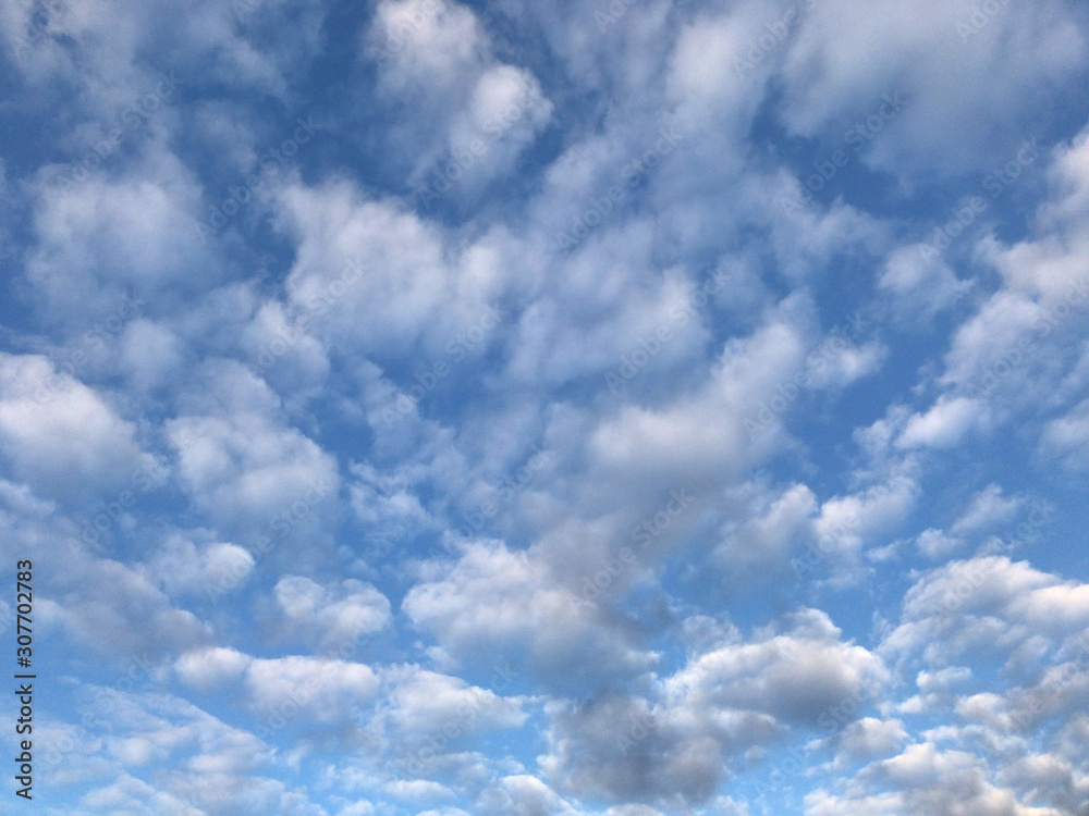 Fototapeta premium 青空と雲