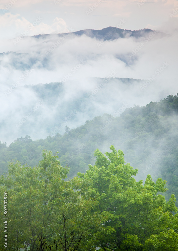 Misty Layers Misty Layers